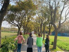 -上海长兴岛郊野公园