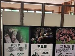 -黔蘑菇四季餐厅(观山湖店)