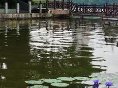 -南宁南湖公园