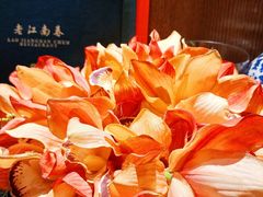 -老江南春·中国龙菜(衡山路店)