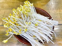 豆芽-正南齊北重庆老火锅(光华村直营店)