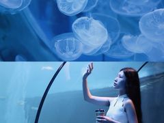 -左海海底世界