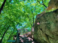 -五女峰国家森林公园