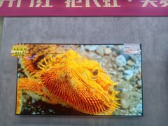 -苏宁易购(Suning Pro北京回龙观店)