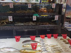 -宝燕壹号(徐汇店)