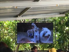 -TrueLove @ Neverland (Husky Cafe)