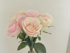 -循礼门鲜花花市(武汉循礼门店)