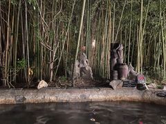 -深业半汤御泉庄温泉