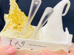 -野人先生现做冰淇淋(北京顺义祥云小镇店)