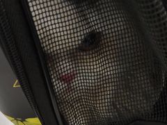 -东日国际动物医院·CT·心脏专科(桃源分院)