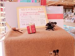 -猫的天空之城概念书店(丽江古城饮玉巷店)
