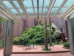 -香港大学