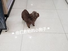 -安安宠物医院(佳林路分院)