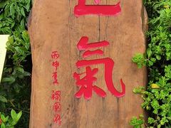 -广州神农草堂中医药博物馆