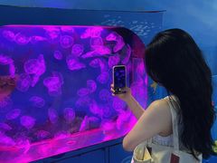 -沙沙哗啦海洋馆(华宇百花谷店)