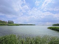 -丁香湖公园