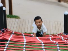 -欢乐松鼠谷