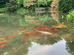 -中国茶叶博物馆(双峰馆区)