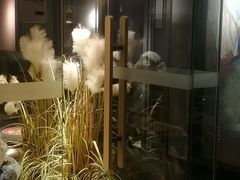 -蜀九香火锅(江油店)