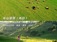 -朱雀国家森林公园
