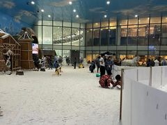 -世界之窗阿尔卑斯冰雪世界