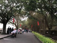 -南沙十九涌渔人码头-南门