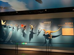 -自贡恐龙博物馆