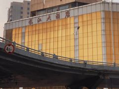 -华中科技大学同济医学院附属同济医院(汉口院区)