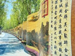 -青龙湖公园