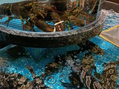 -百富源·海鲜辽菜(张士店)