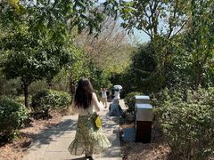 -巢湖姥山岛