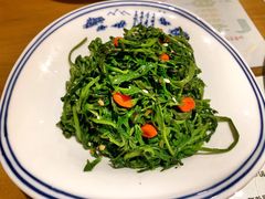 -静莲斋素食(慈云寺店)