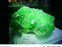 -湖南省地质博物馆