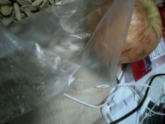 android_upload_pic-北李妈妈菜·海肠捞饭(高新万达店)