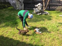 -扬州瘦西湖汇金酒店