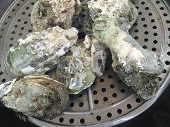 -蚝专家(北滘店)