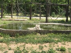 -秦皇岛野生动物园
