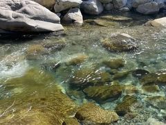 -鄣山大峡谷