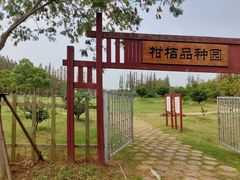 -上海长兴岛郊野公园