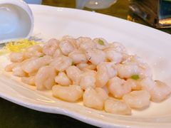 建湖虾仁-上海小南国(不夜城店)