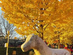 -北京石刻艺术博物馆(五塔寺)