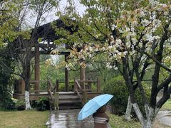 -国际非物质文化遗产博览园