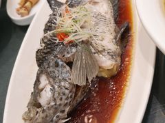 清蒸笋壳鱼-碧丽宫大酒店(召稼楼店)