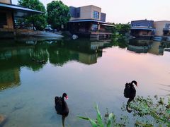 -上海怡沁园度假酒店