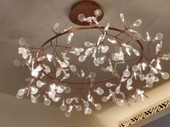 -侨美·唐荔园·40年地道粤菜