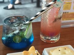 -柴犬高等学院·狗咖·柴犬售卖·宠物训练