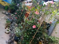 -阳光山水江湖菜馆(西山龙门店)