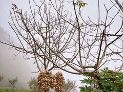 -金堂县云顶石城风景区