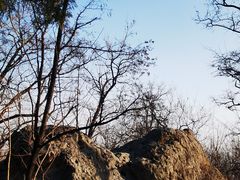 -阳台山自然风景区