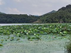 -东钱湖旅游度假区